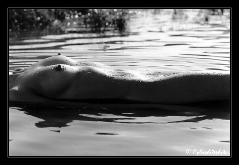 48 Fraicheur aquatique